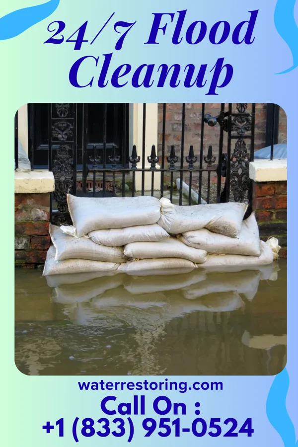 24/7 Flood Cleanup in Pulaski, IL