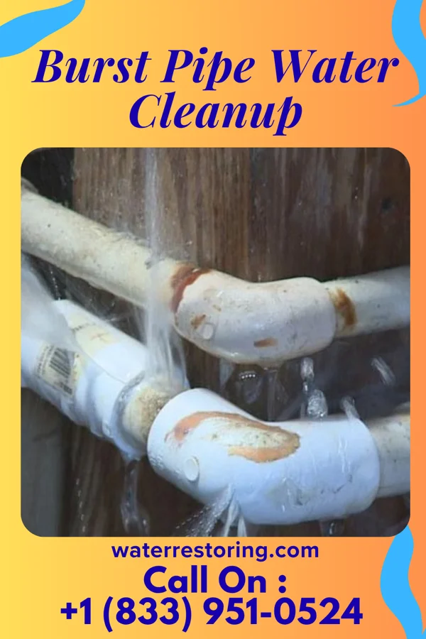Burst Pipe Water Cleanup in Pulaski, IL