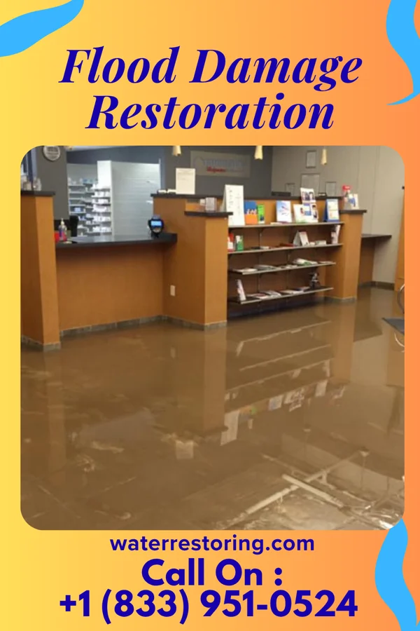 Flood Damage Restoration in Pulaski, IL